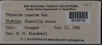 Image Associated With the Occurence